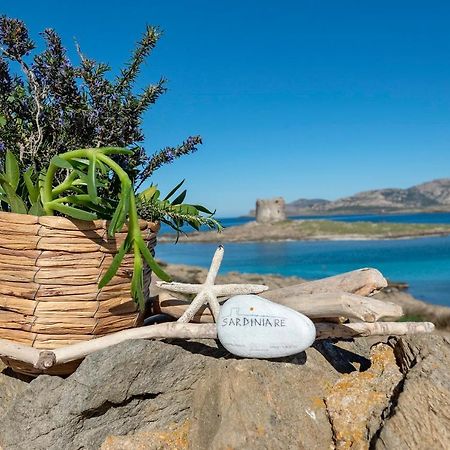 Sardinia Re - Villa Pelosa Stintino Zewnętrze zdjęcie