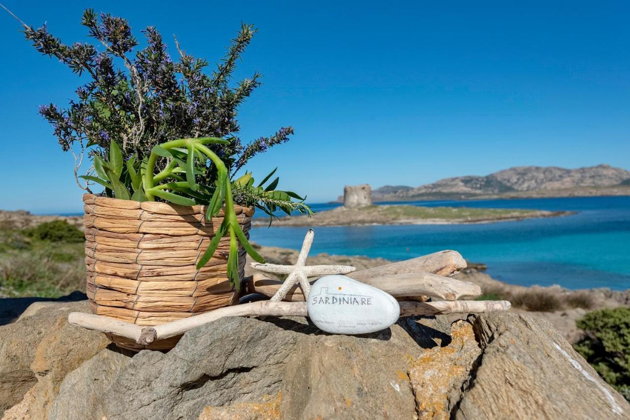 Sardinia Re - Villa Pelosa Stintino Zewnętrze zdjęcie