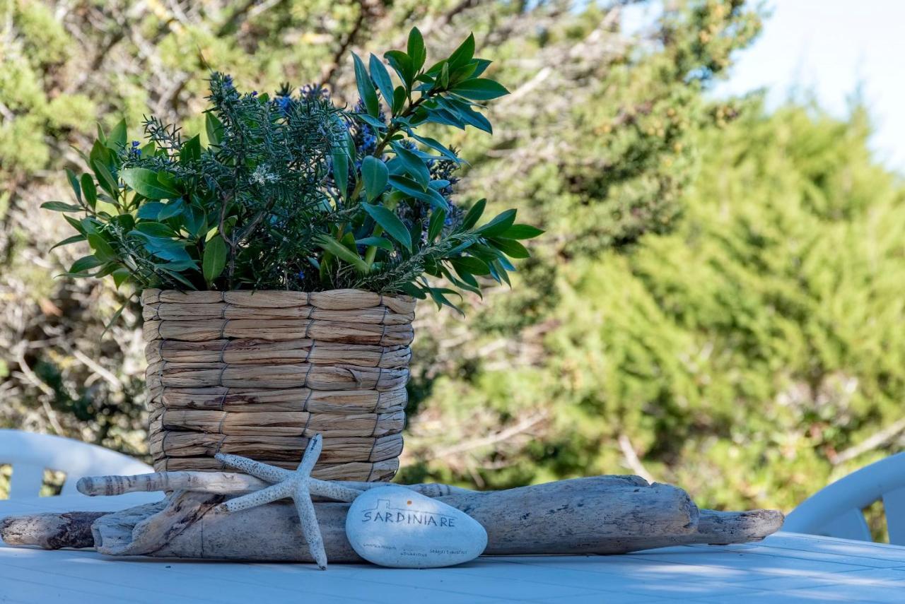 Sardinia Re - Villa Pelosa Stintino Zewnętrze zdjęcie