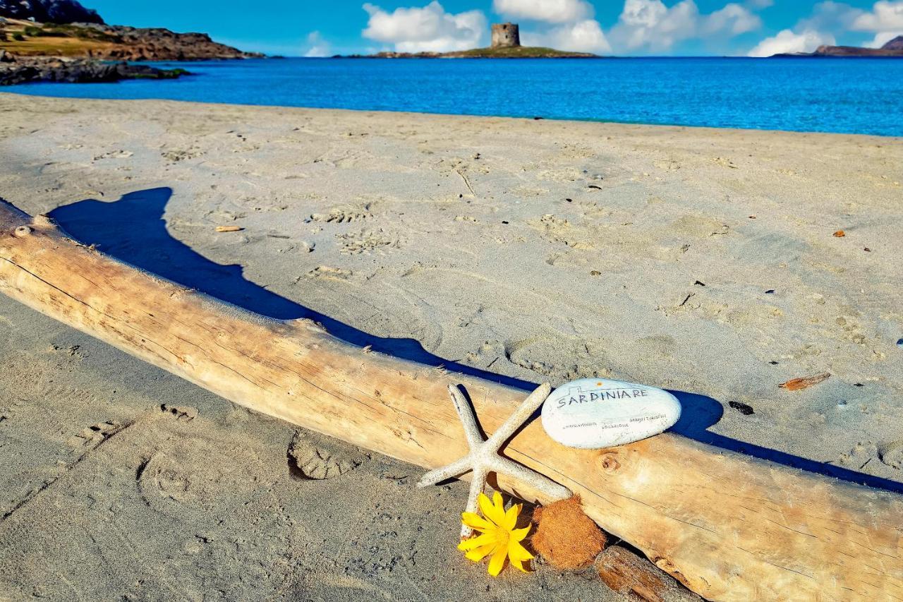Sardinia Re - Villa Pelosa Stintino Zewnętrze zdjęcie